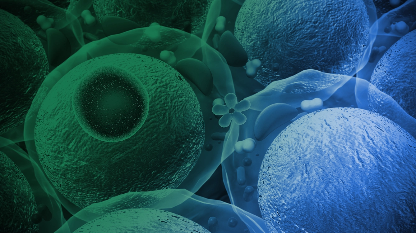 Un webinaire perspicace explorant l’augmentation de la demande de médicaments agonistes des récepteurs du glucagon-like peptide-1 (GLP-1)